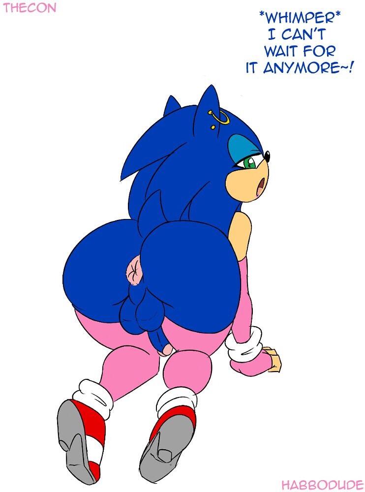 hentai ass Sonic