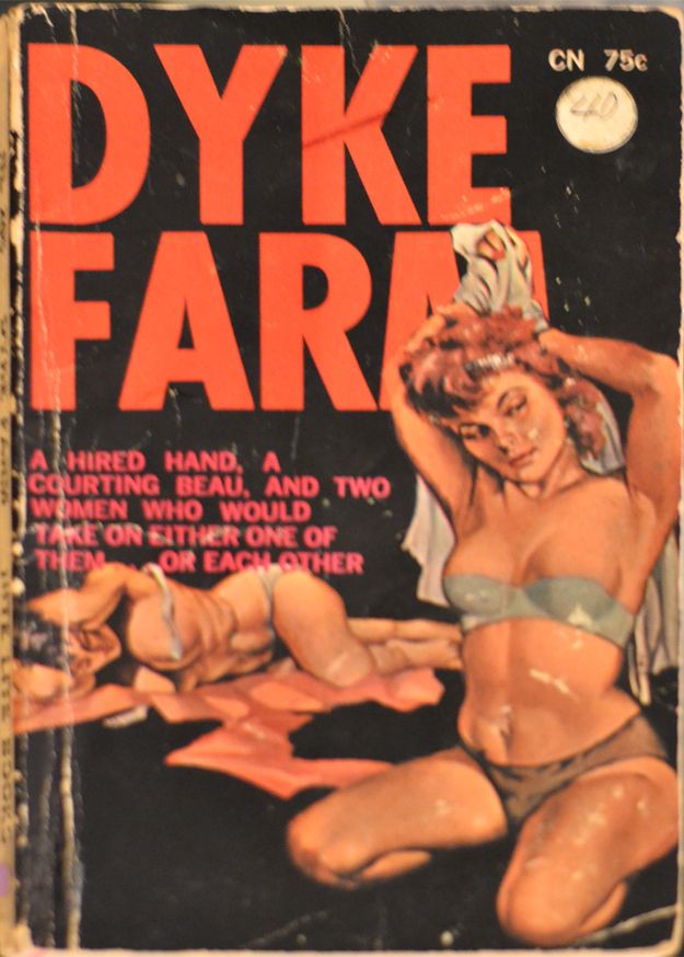 fiction Adult book