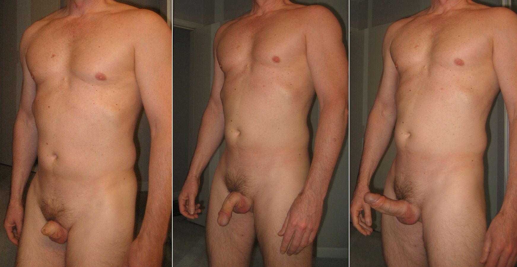 erect penis Average male